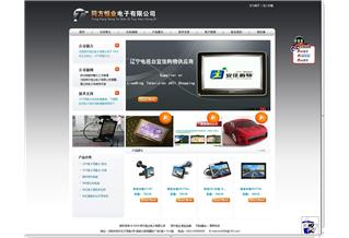 從需求到體驗 沈陽某專業(yè)服務(wù)公司的網(wǎng)站建設(shè)全案解析