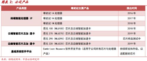 寒武紀 AI芯片獨角獸的突圍之路與工業(yè)互聯(lián)網(wǎng)數(shù)據(jù)服務的新航向